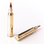 Cartucce - marca FIOCCHI - modello EPN - calibro 300WIN MAG - CARTUCCE PER CARABINA - CARTUCCE PER LA CACCIA 3810